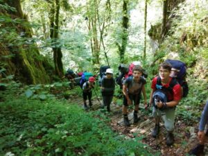 049b1479-2b4f-4bde-bf73-ce3f8bc90c2a-1