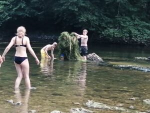 d2999adf-1027-4f70-9a70-cf7b4ff6a91e-1