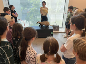 12E2A9AF-4F85-4965-8460-2195095A4BEC