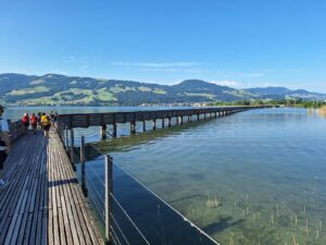 4562559e-c409-4880-8604-a75466b1c135