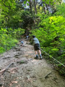 4F5A491D-EF1D-40F4-94B4-F8437F628555