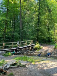 9F1BF3FF-2674-476F-9F13-8CD112583AC7