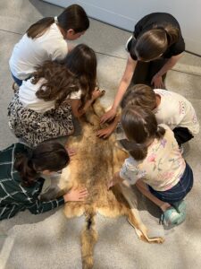 C7B955BC-906B-46DA-ACA4-4BF35E29C070