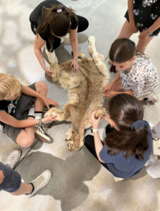 D642A96E-98FE-4374-A8B8-CB866E258F28